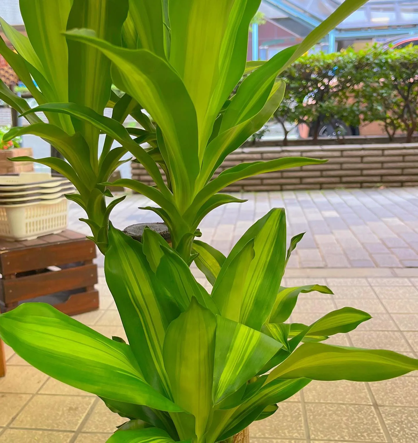 雨止みましたね🤗